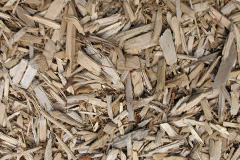 biomass boilers Carmyle
